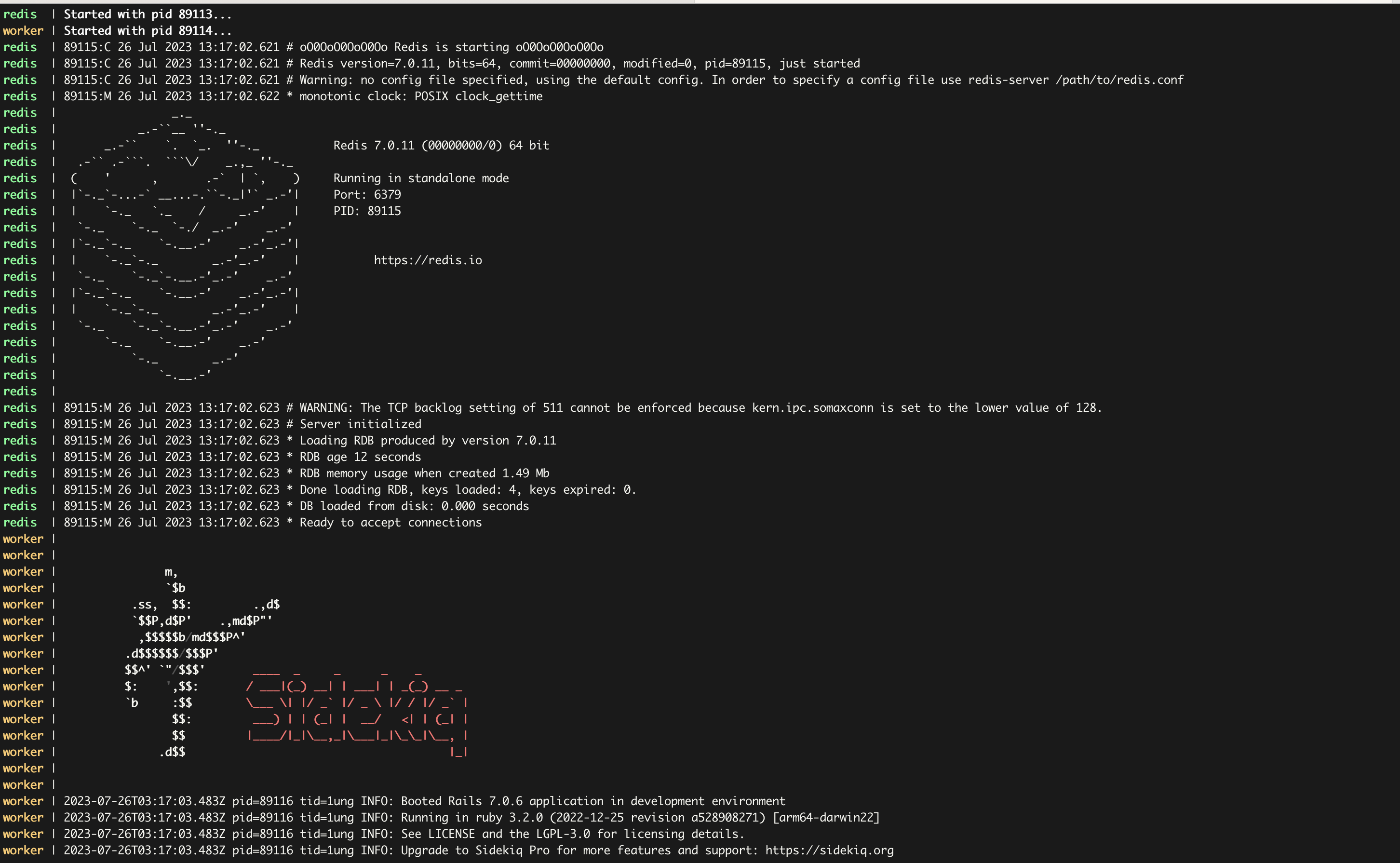 Overmind captures the full process output, so we get to see some pretty ASCII pictures — yay!